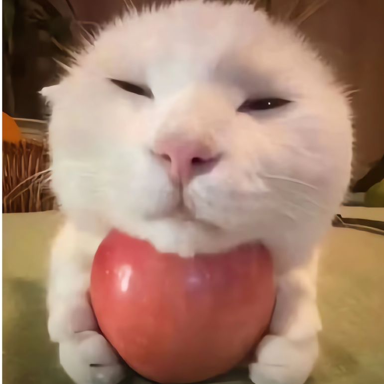 祷告