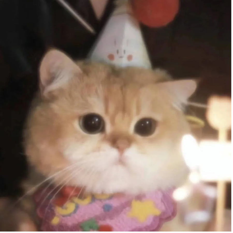 逃