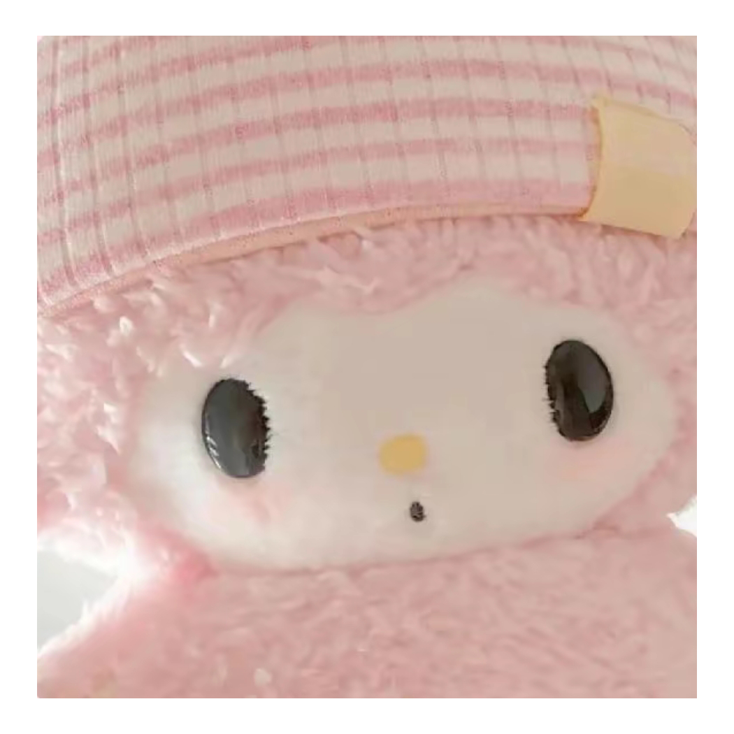 腼腆六花