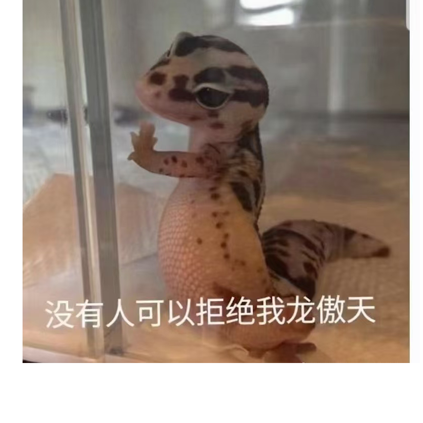 来带泡面加根肠