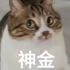 十一月四日