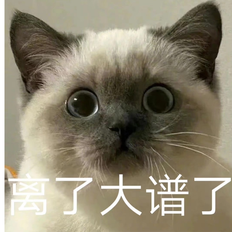 姜丹丹