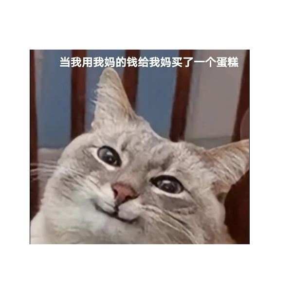 疯狂的猪屁登