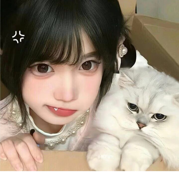 茶茶不茶