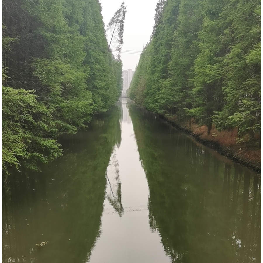 烟圈