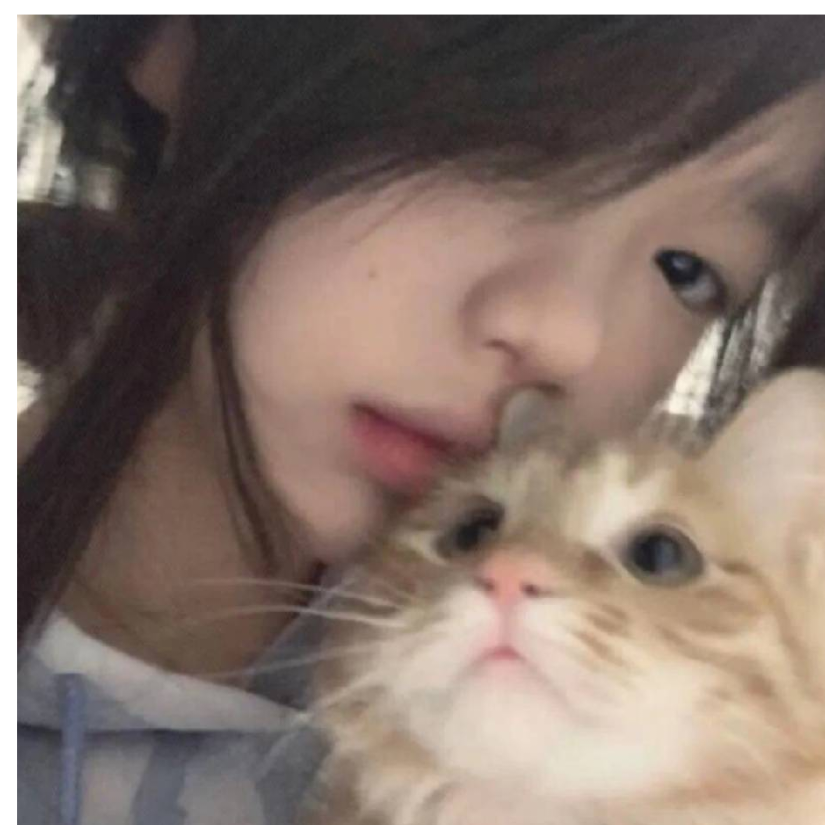 温柔喂了狗