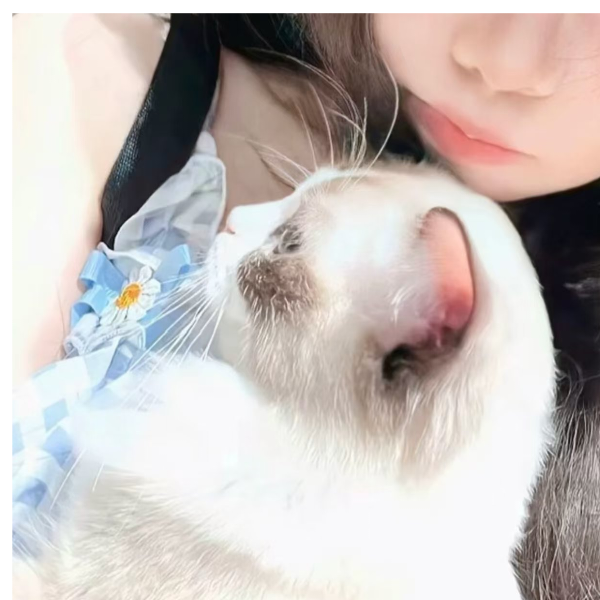 梨花