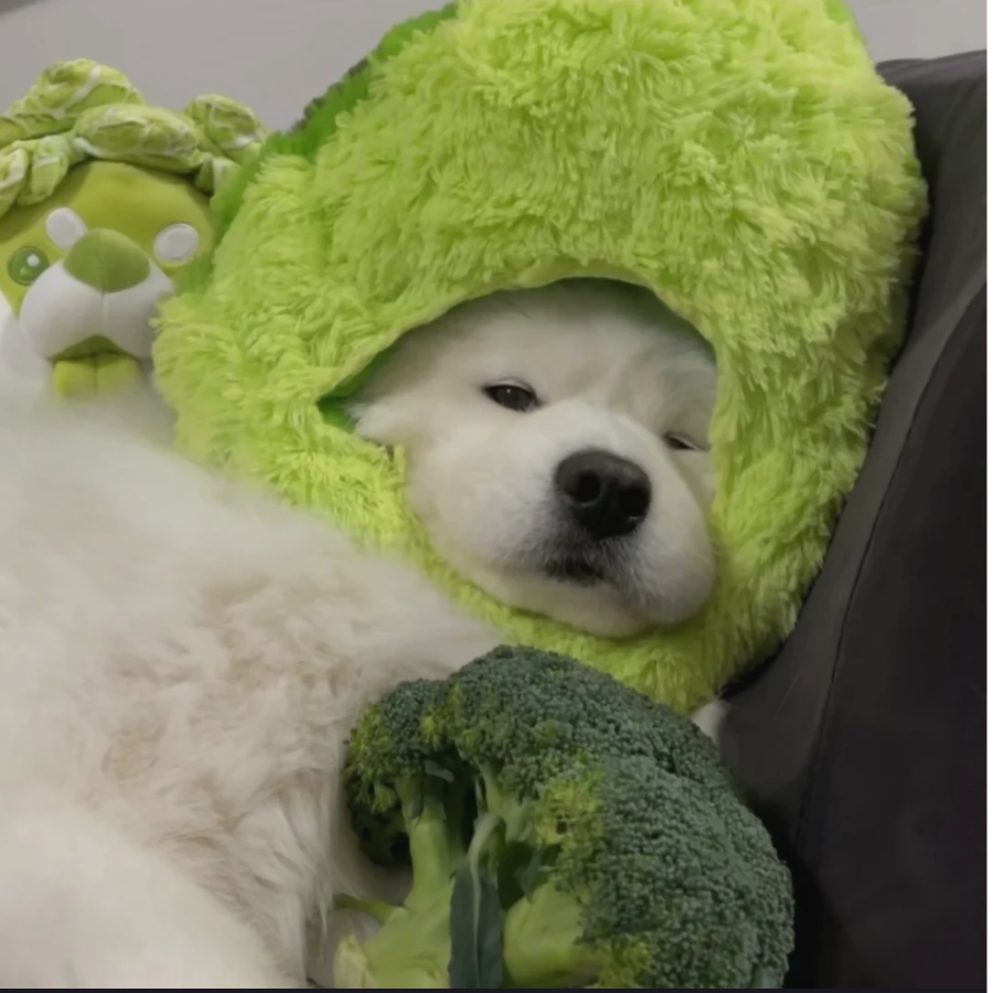 青