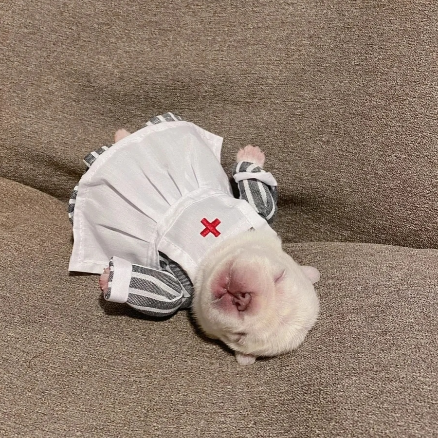 咕叽咕叽