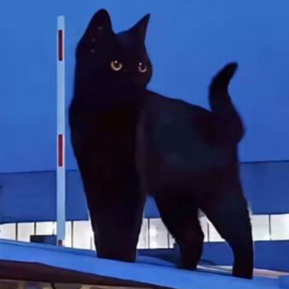 起什么名字好呢？