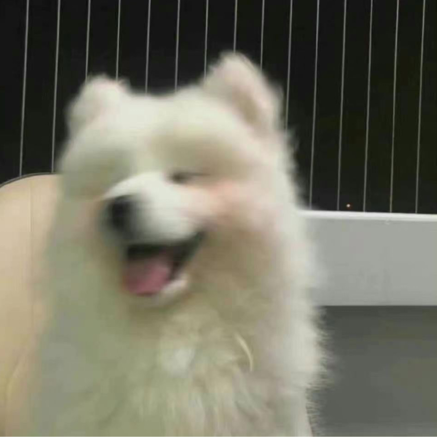 头发炸毛了