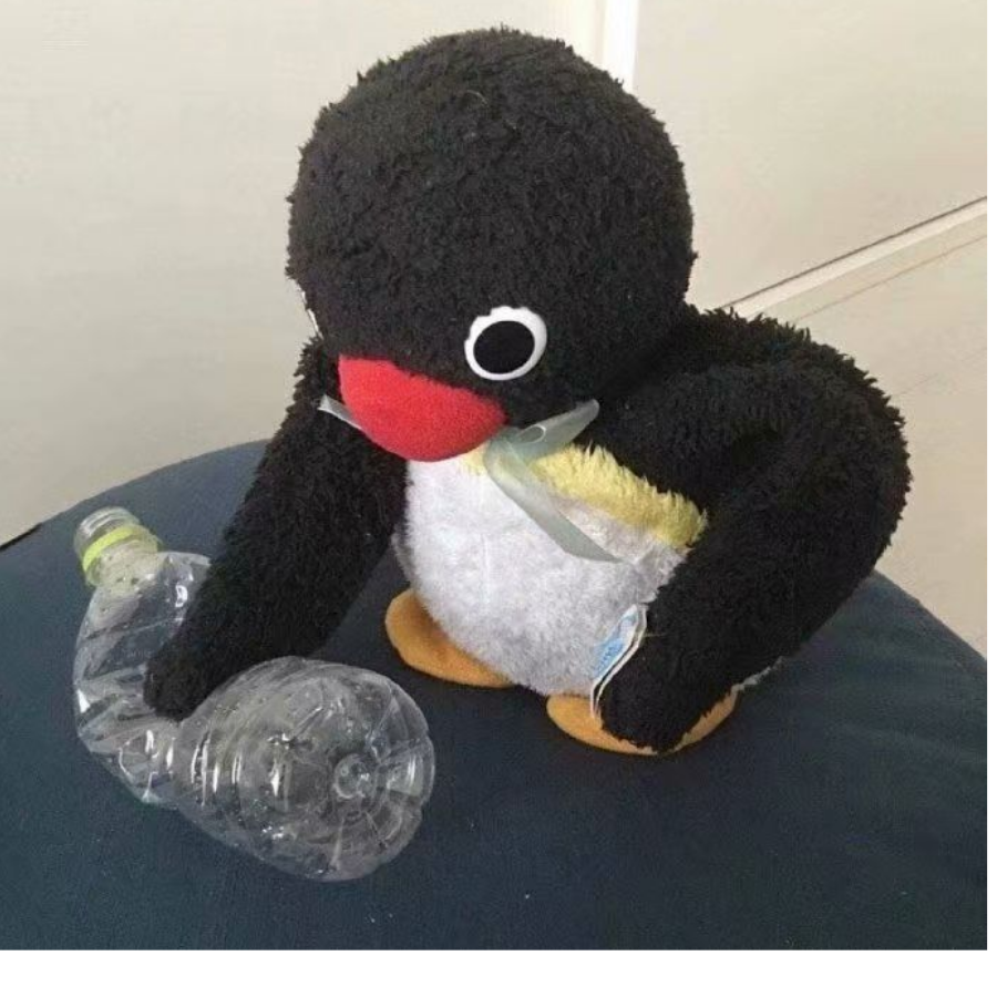 北欧男模