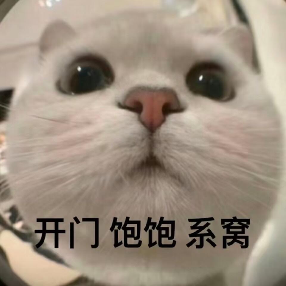 鲜橙多多