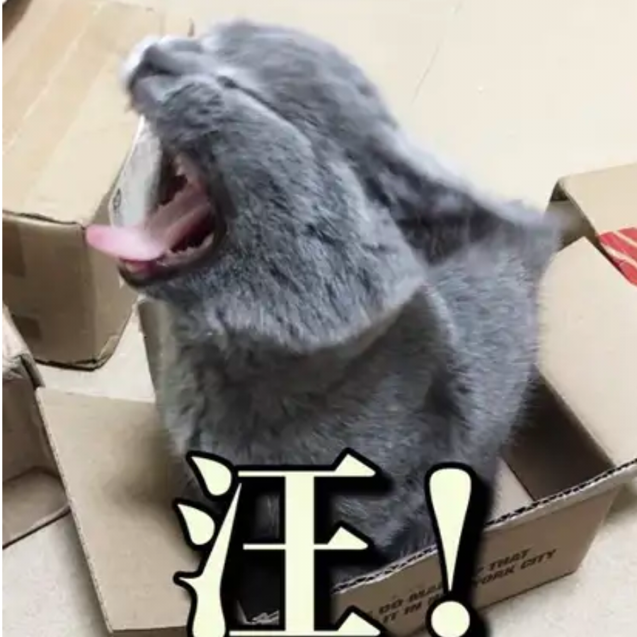 Dominikぺ