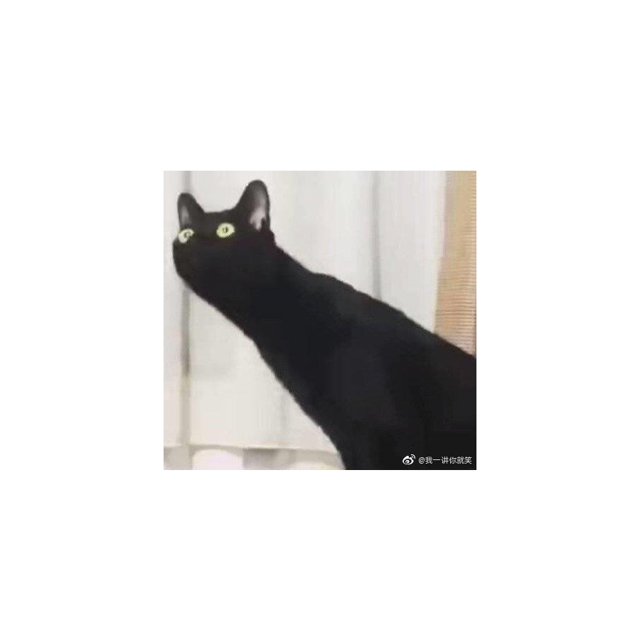 菠萝味盐汽水