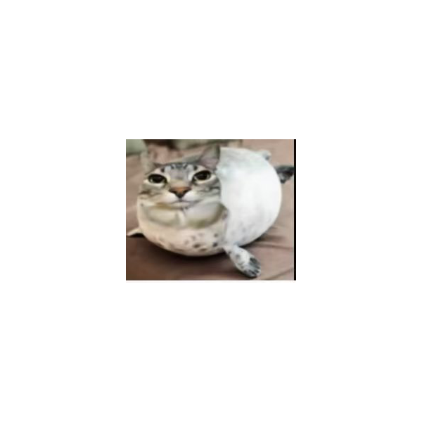 哈基咪