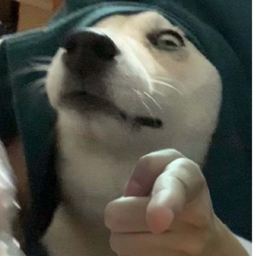 行止