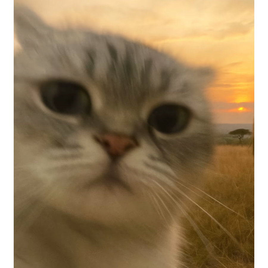 星辰