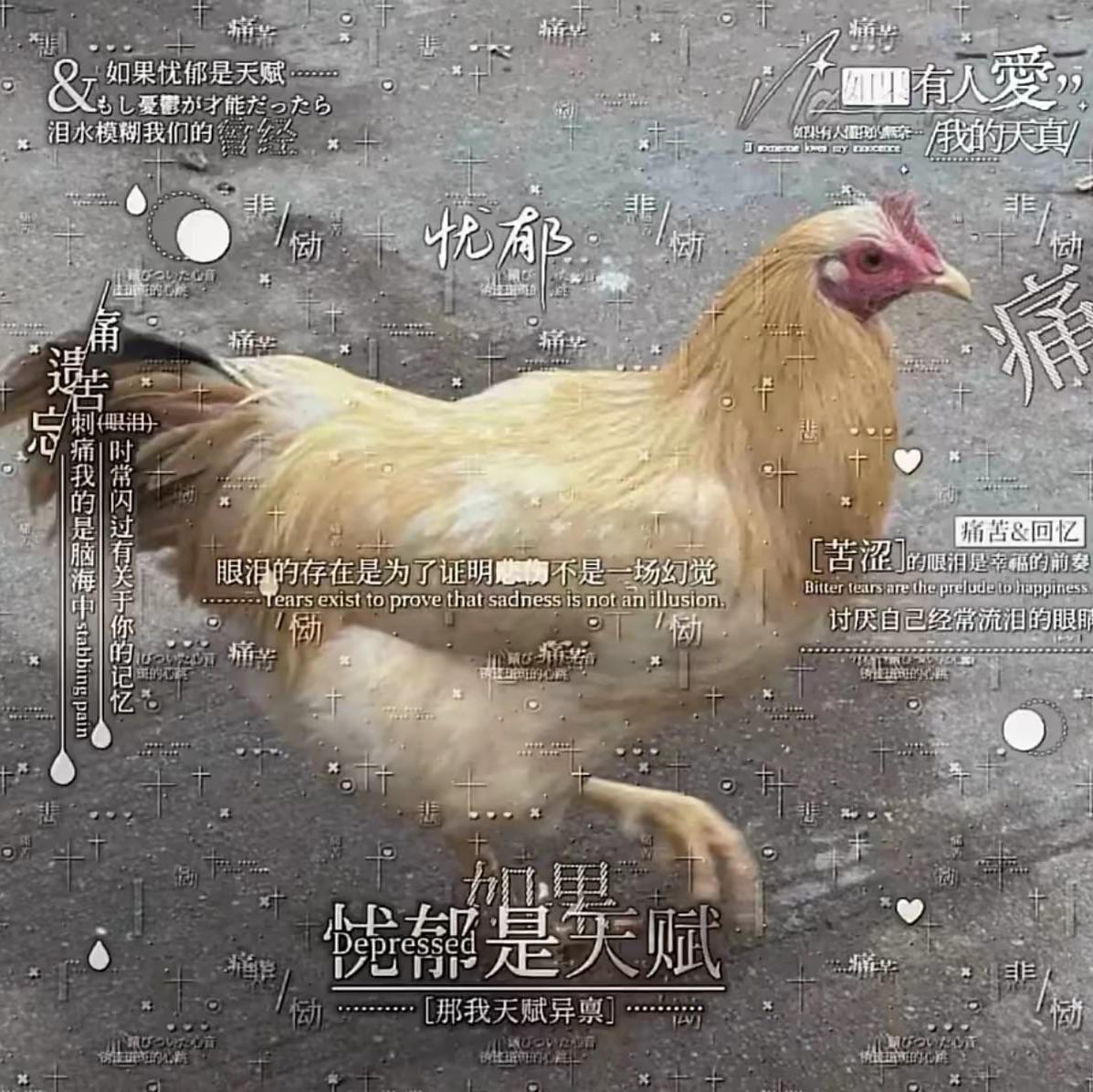 柚不爱肝