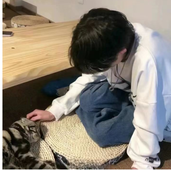 梓圜