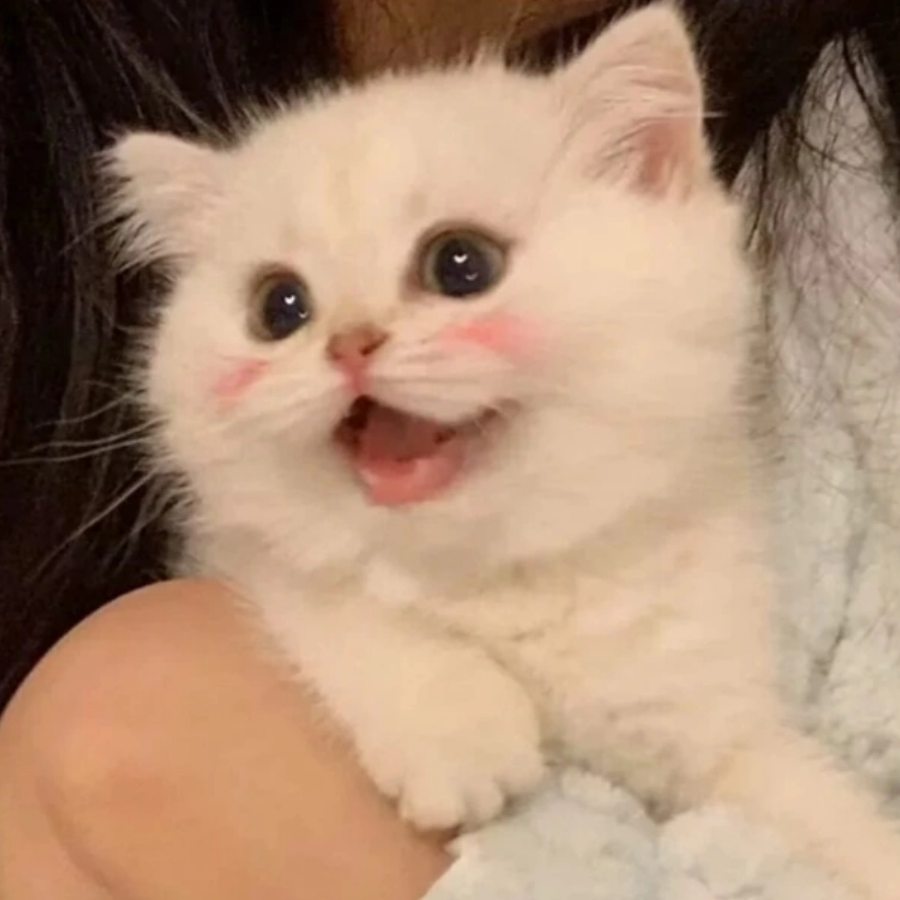 曦云