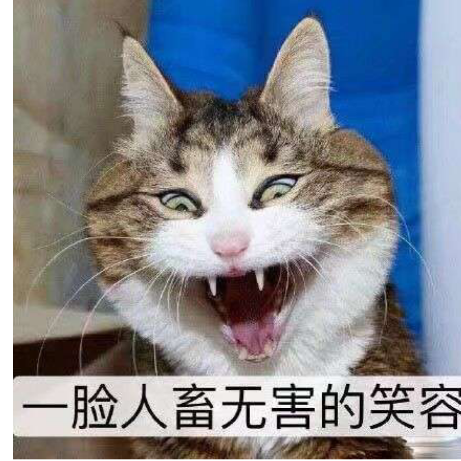 落雪无痕