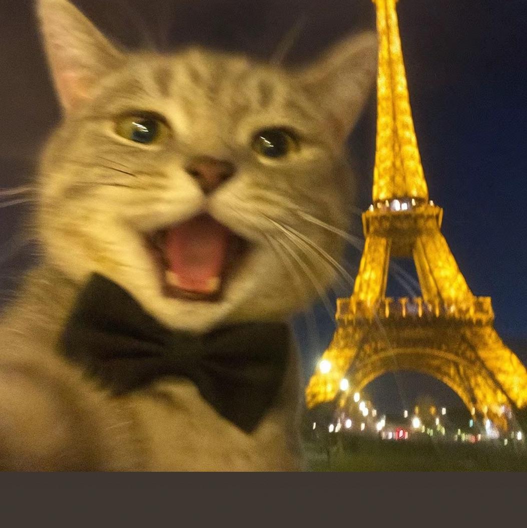 User345957009