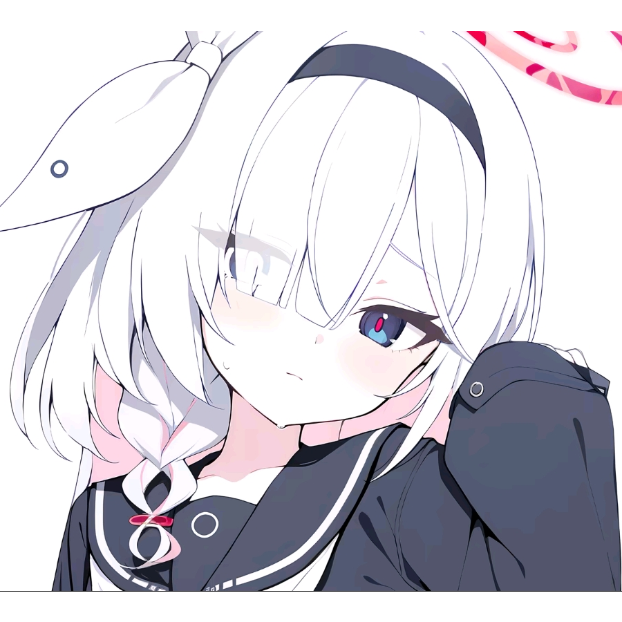 idhsud