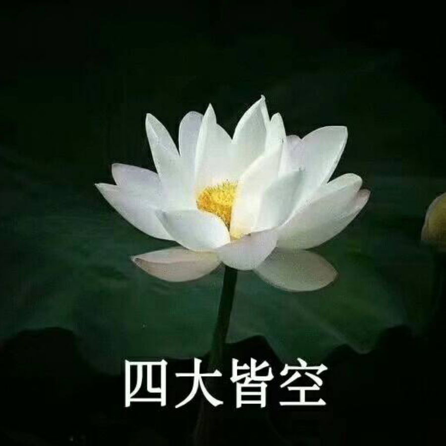 董小姐