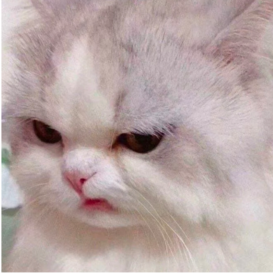 时笙
