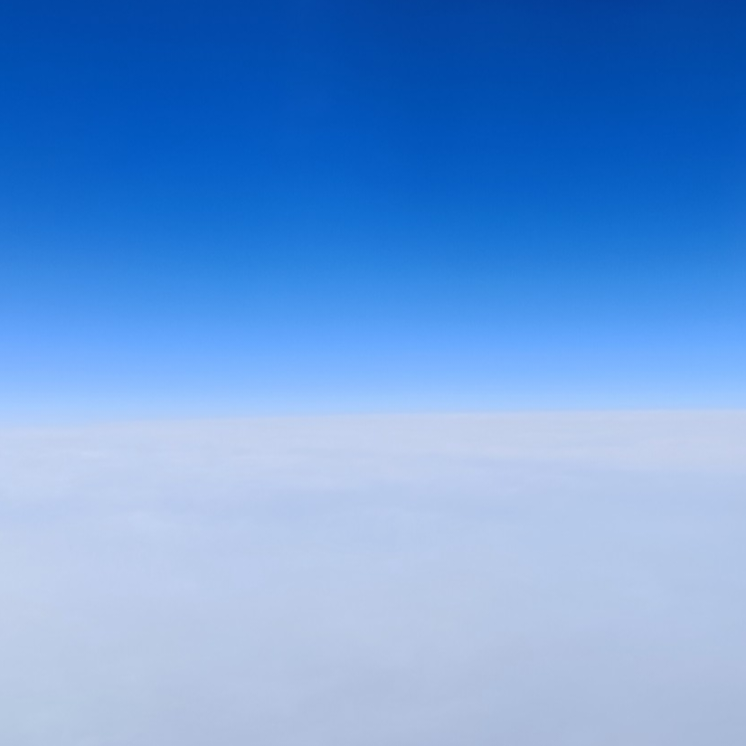 锦鲤
