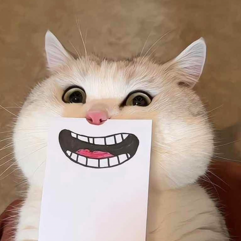 微笑猫