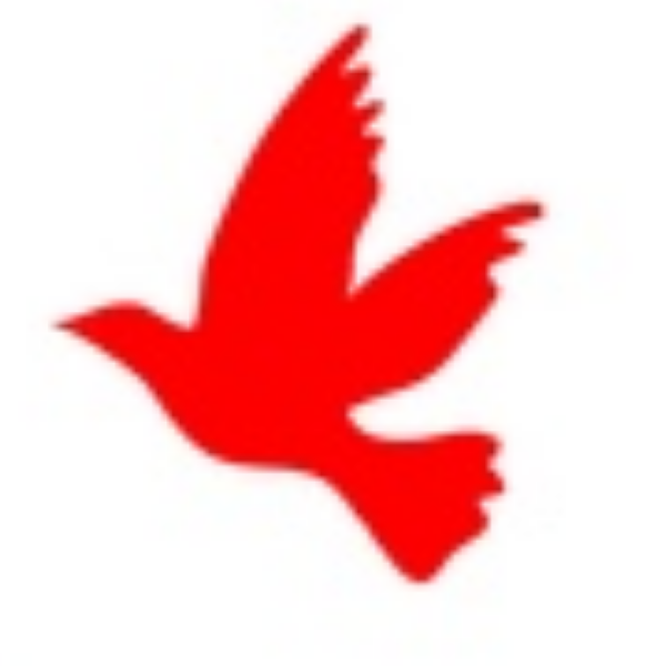 鸿丶Soar