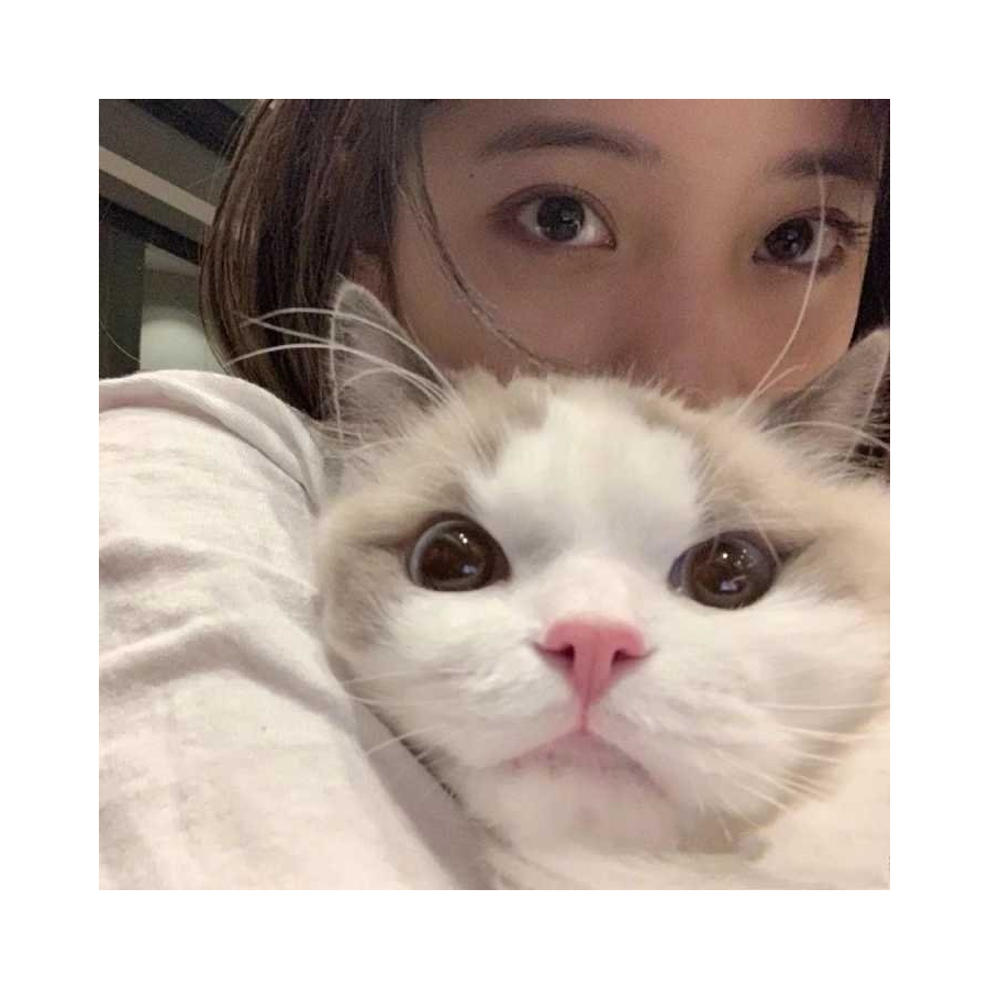 巴比Q