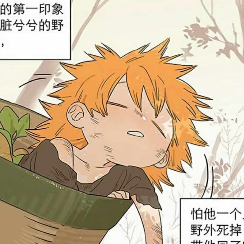 听风诉说爱意