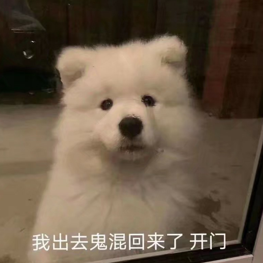杯酒敬余年