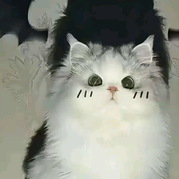 圍懿