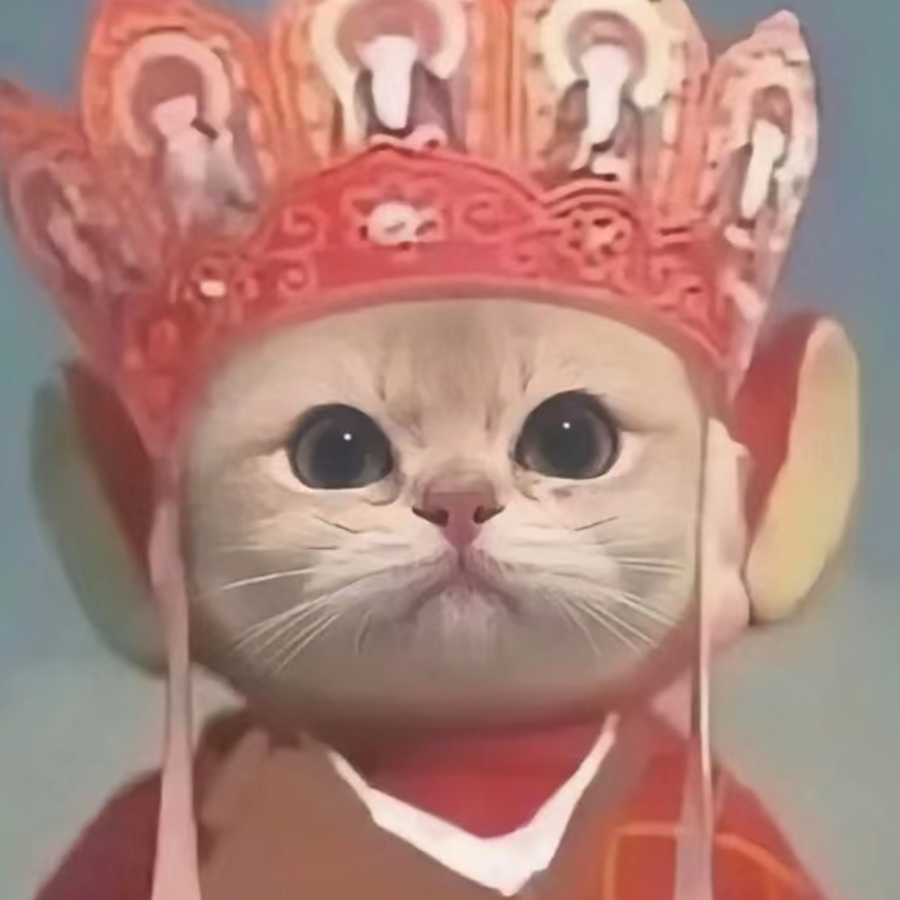 风风风