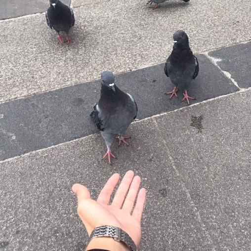 剑行渐远 已忘初心