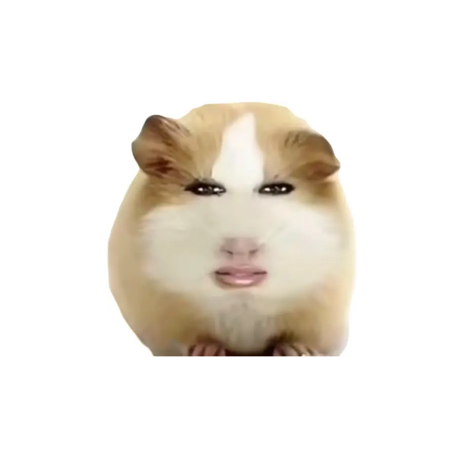 lz