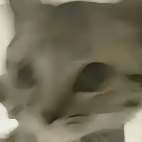 疯狂的投鼠