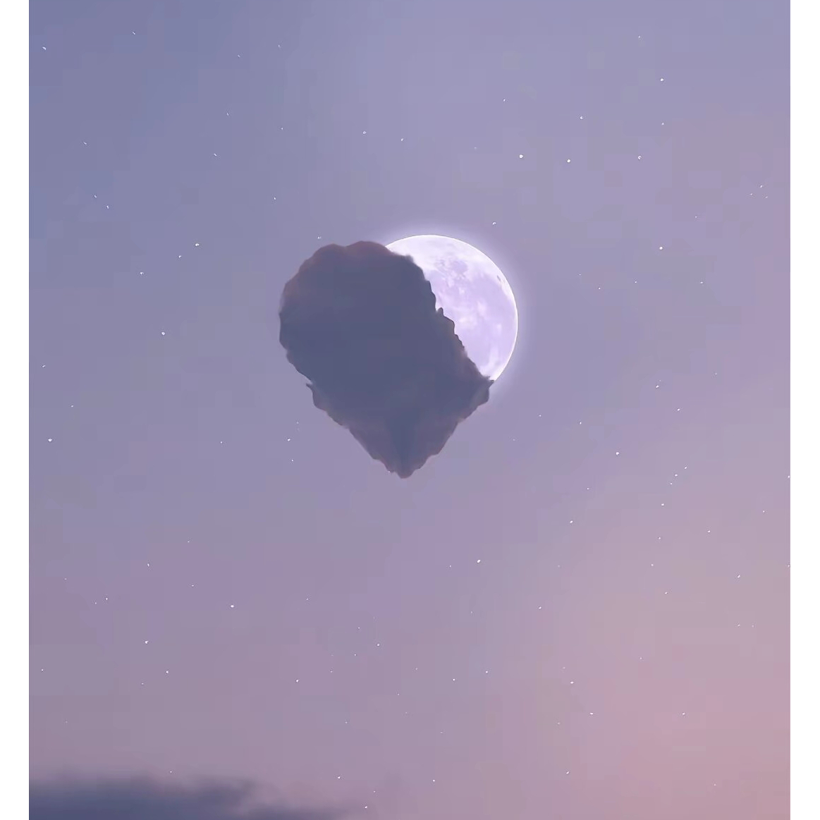 纯路人