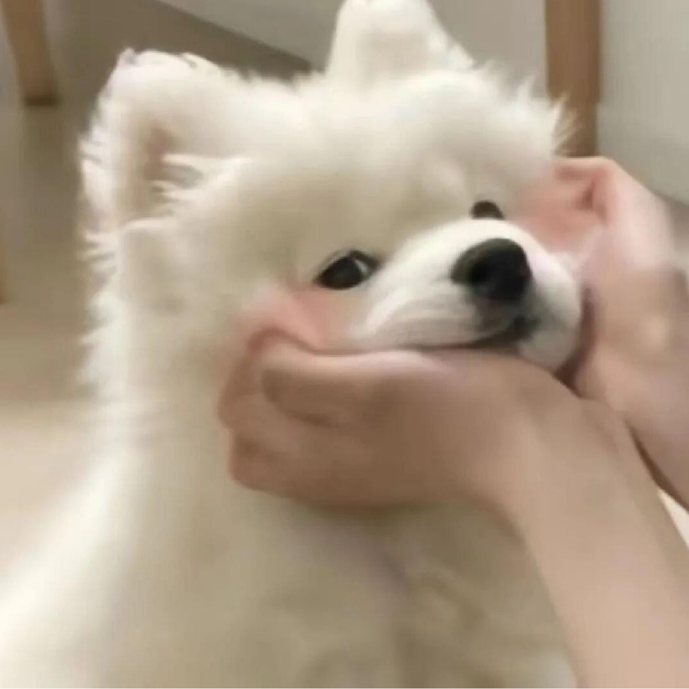 阿无