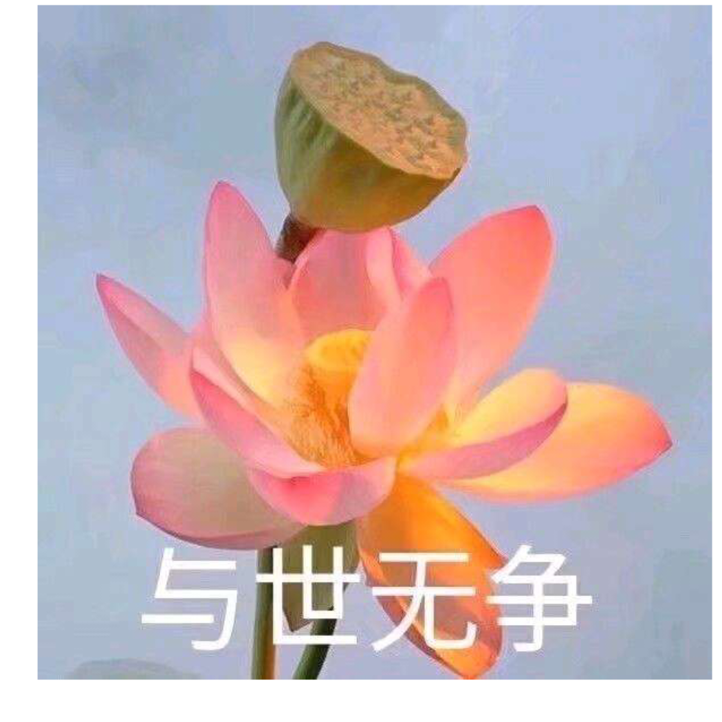 手摘明月