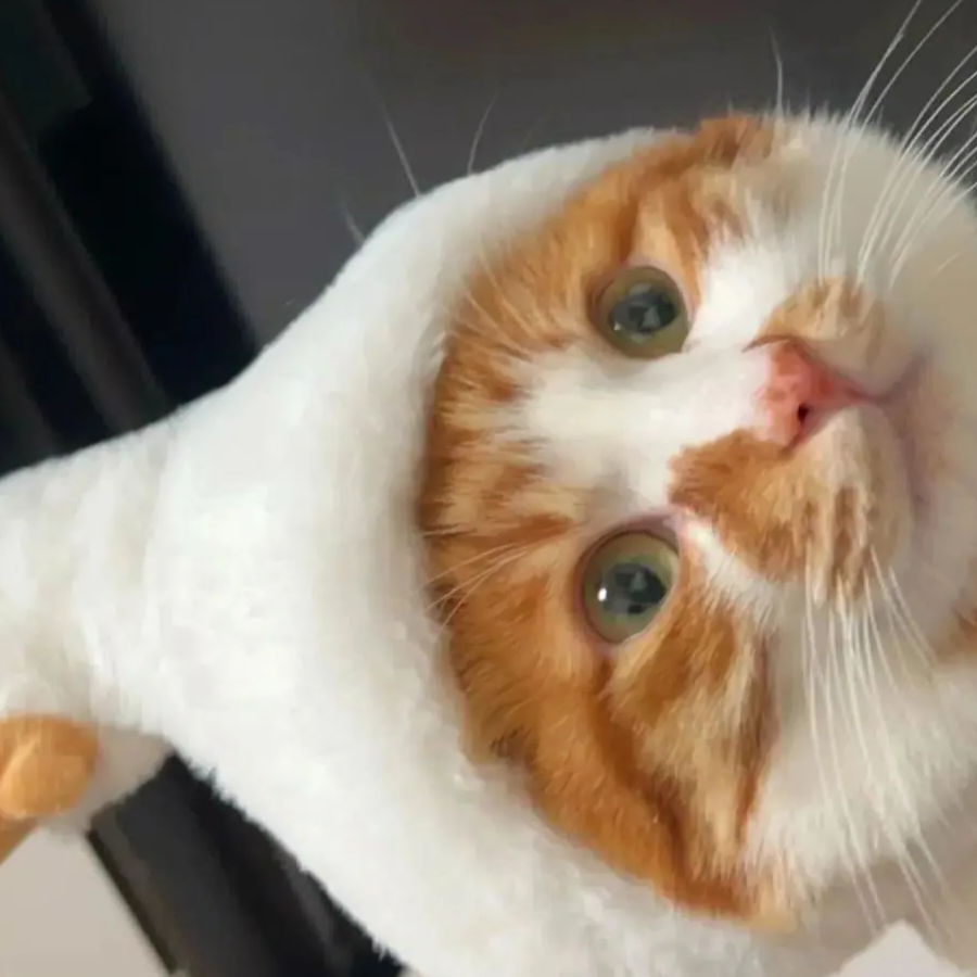 纪念♡