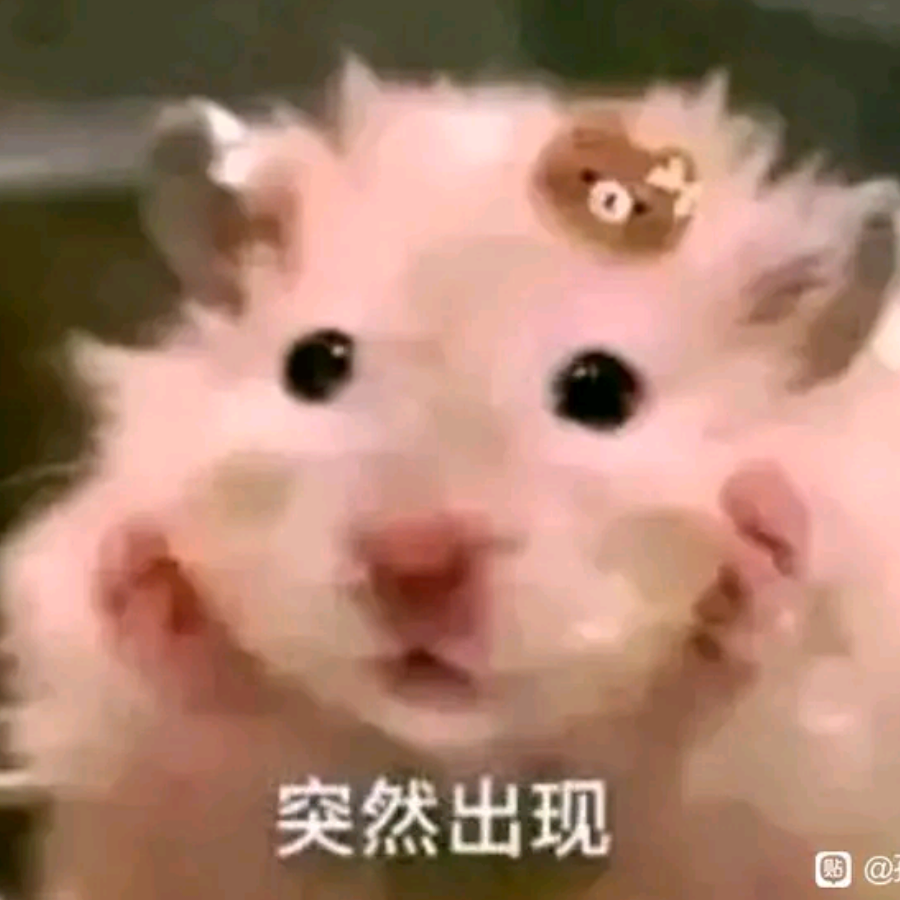 巡