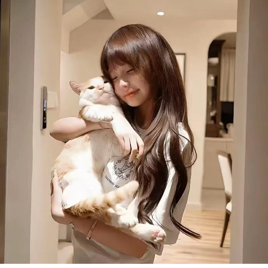 涵涵^