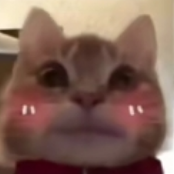 264975