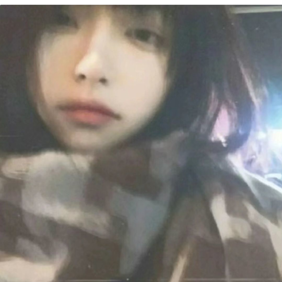 贞德皮