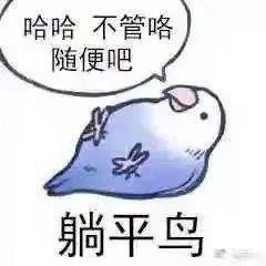 照夜清